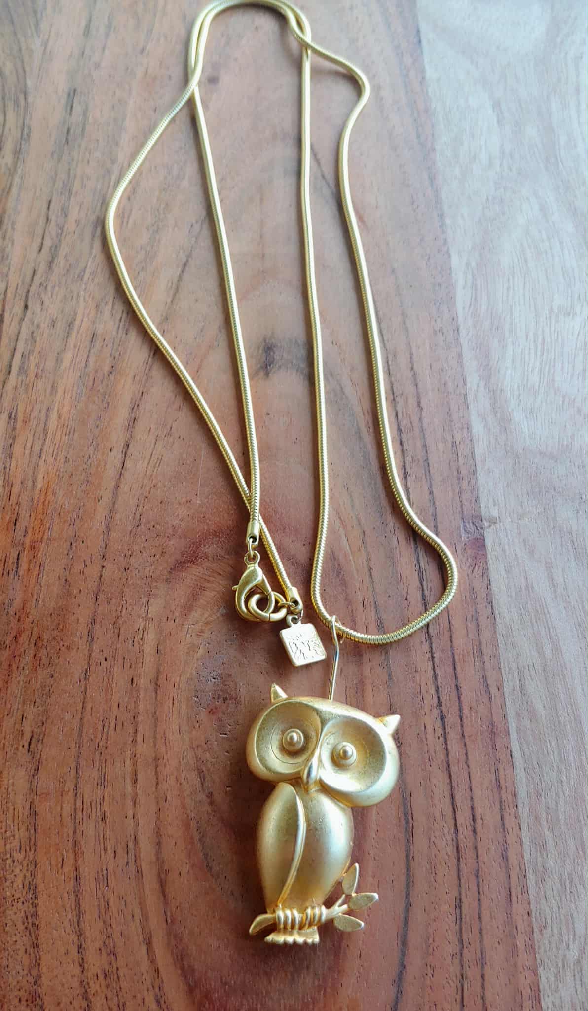 Gold owl pendant necklace on a wooden surface